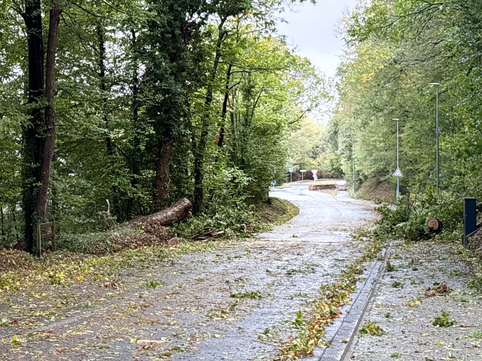 De nombreuses interventions ont été réalisées sur la commune à la suite du passage de la tempête Austen. Les services techniques de la Ville se sont mobilisés pour sécuriser les routes et intervenir sur les secteurs concernés. Arbres tombés au bord de la route
