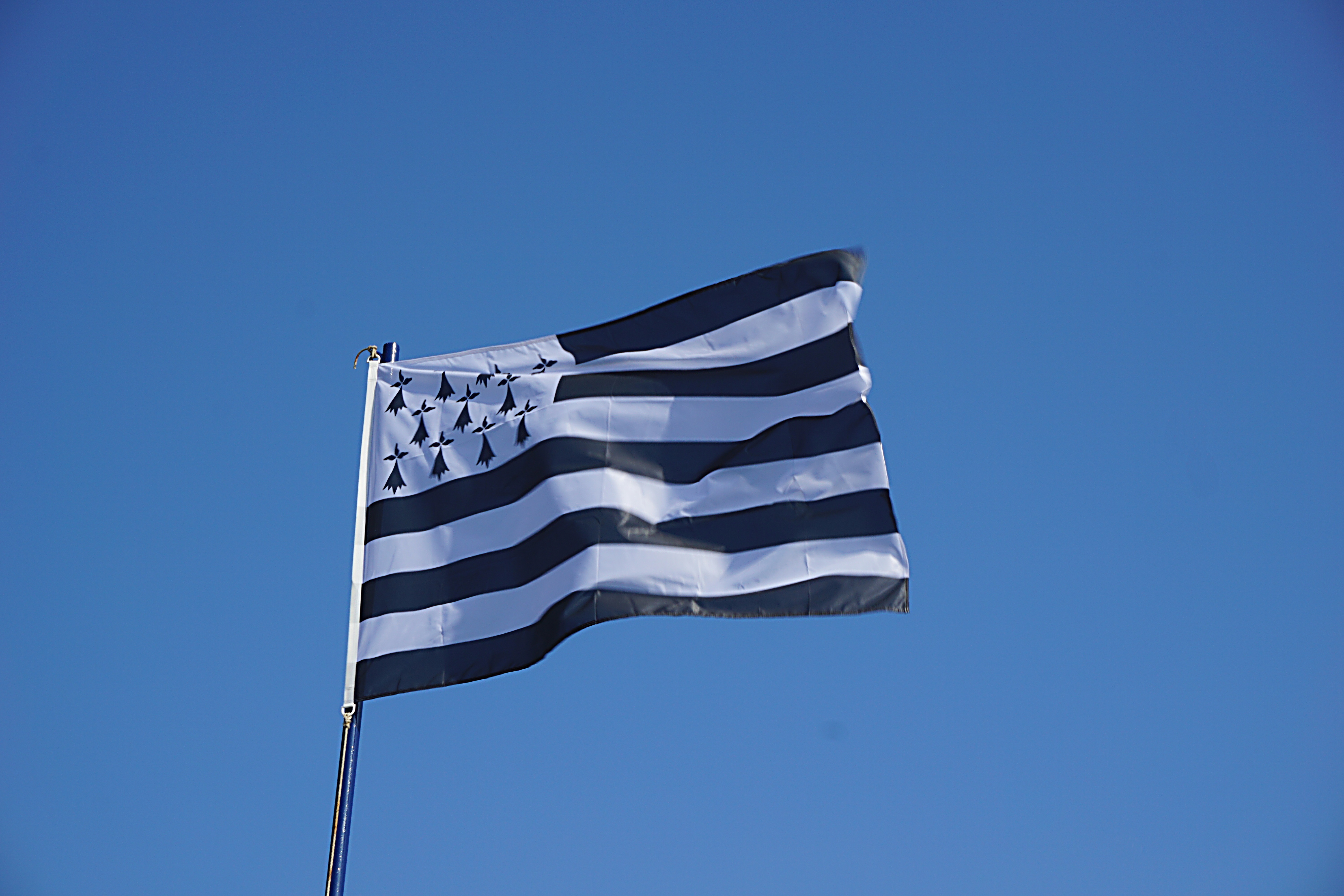 Drapeau breton (Gwenn ha Du) flottant dans le ciel bleu.